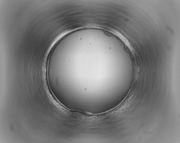 X0000116140955200912071240