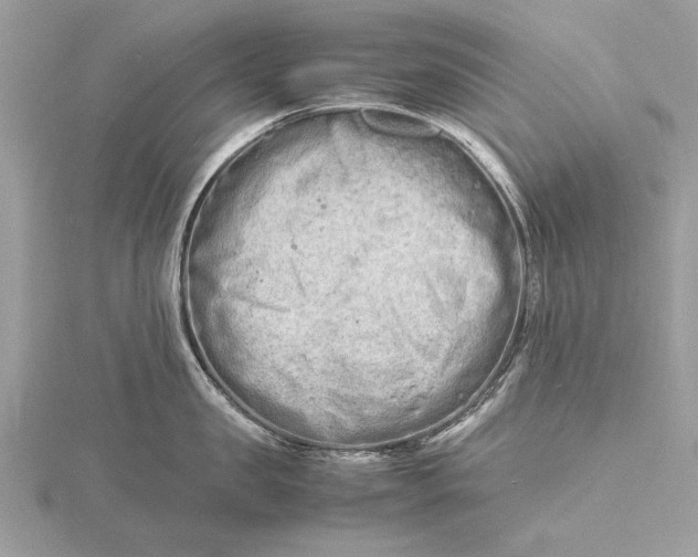 X0000116140957200912071240