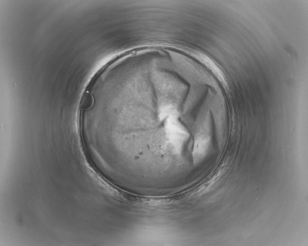 X0000116140958200912071240