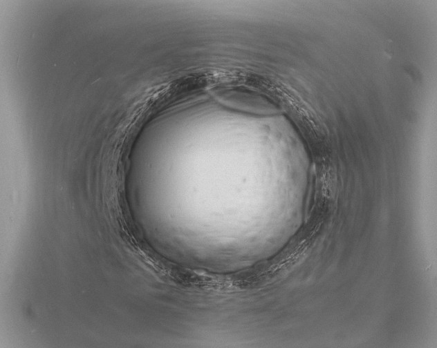 X0000116140961200912071240