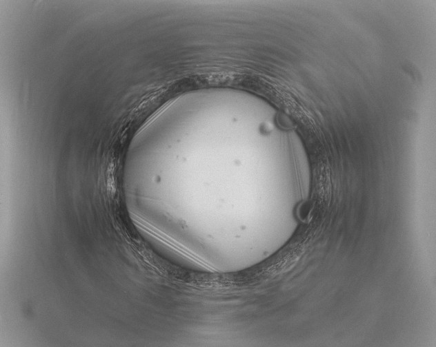 X0000116140962200912071240