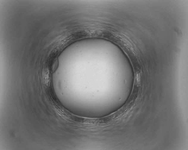 X0000116140963200912071240