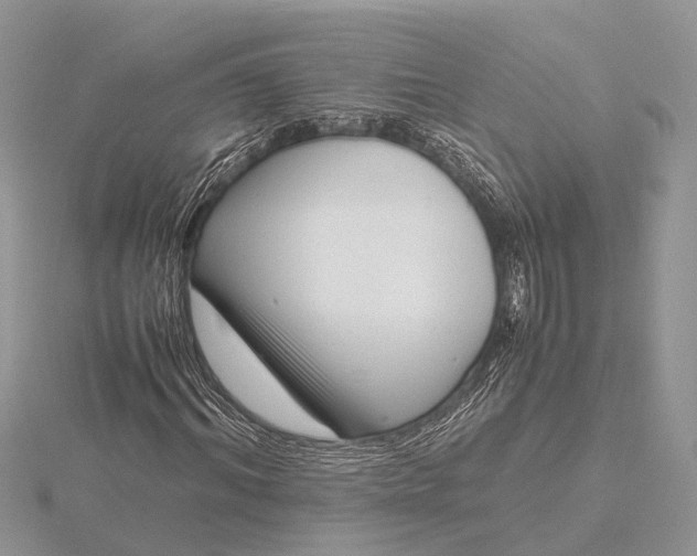 X0000116140964200912071240