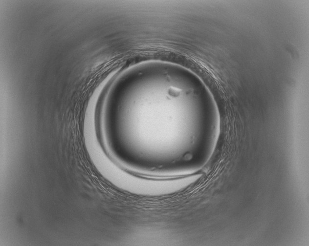 X0000116140965200912071240