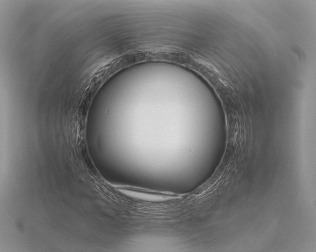 X0000116140966200912071240