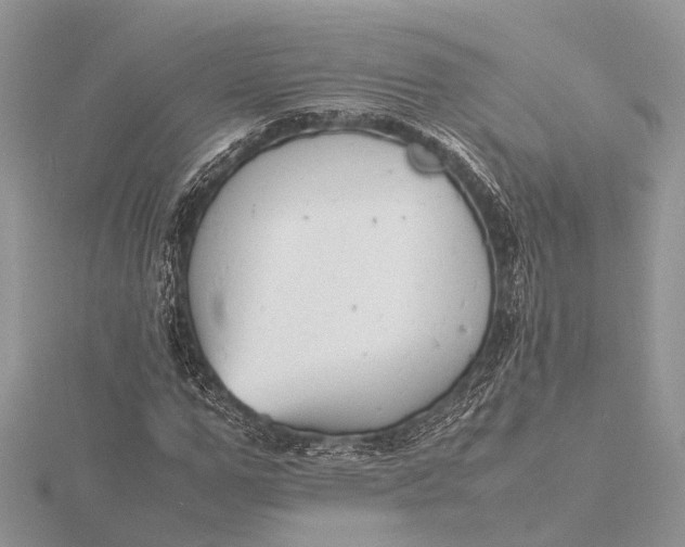 X0000116140967200912071240