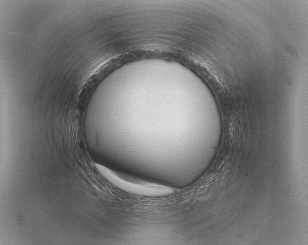 X0000116140968200912071240