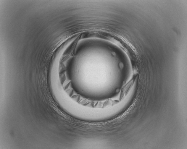 X0000116140969200912071240