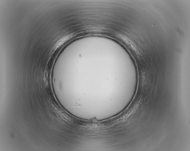 X0000116140970200912071240