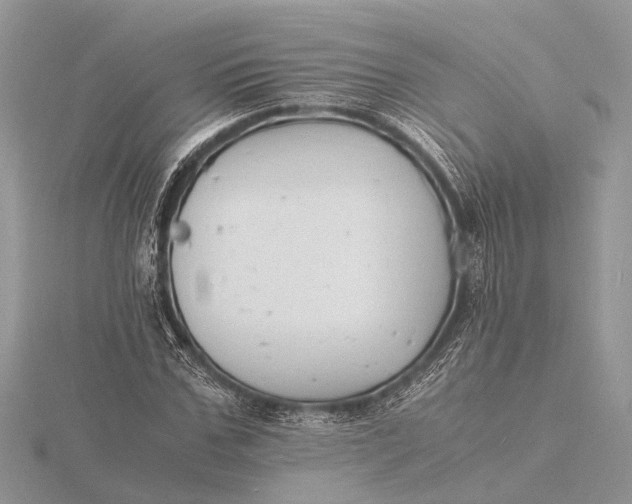 X0000116140971200912071240