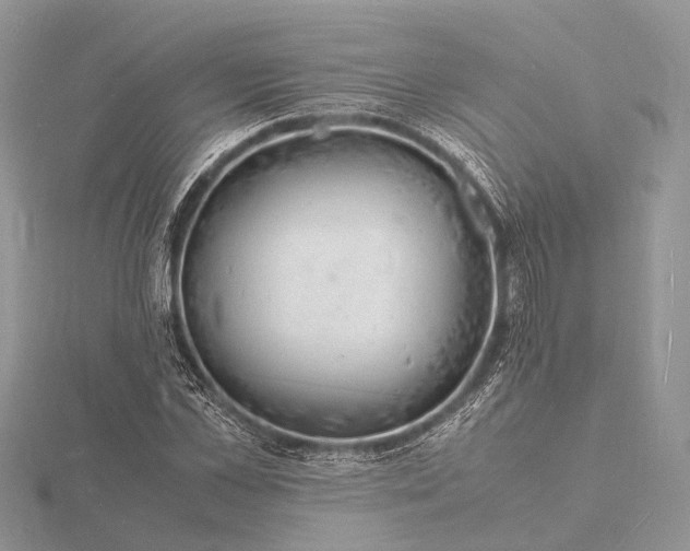 X0000116140973200912071239