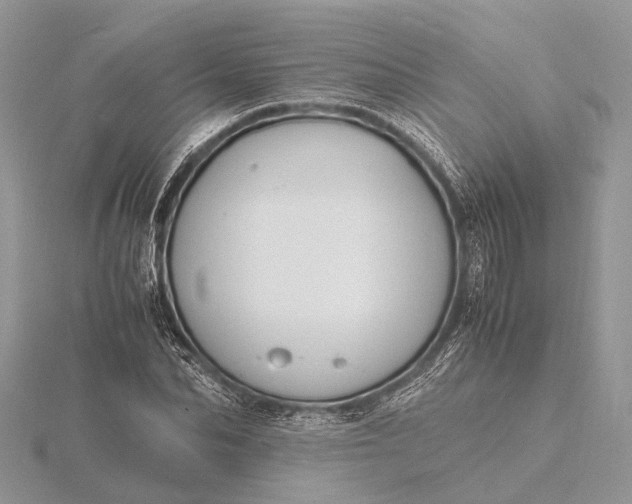 X0000116140974200912071239