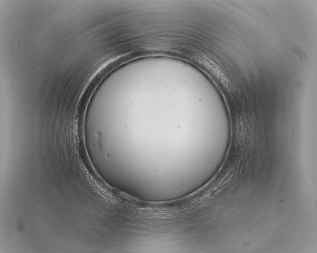 X0000116140976200912071239