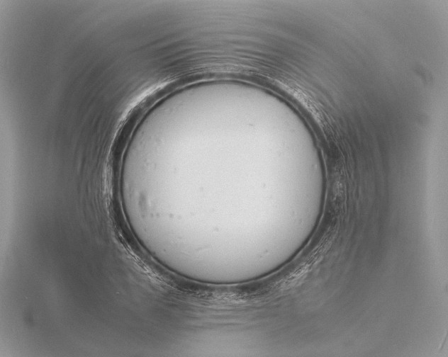 X0000116140979200912071239