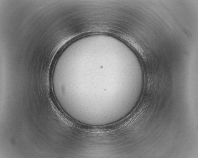 X0000116140980200912071239