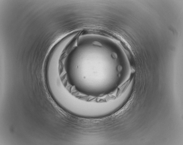 X0000116140981200912071239