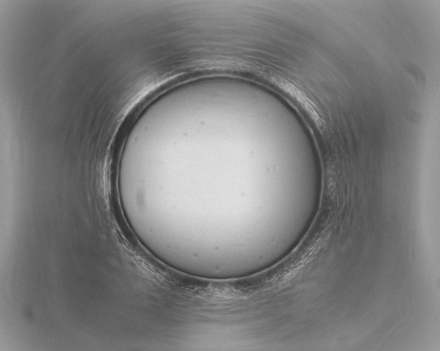 X0000116140983200912071239