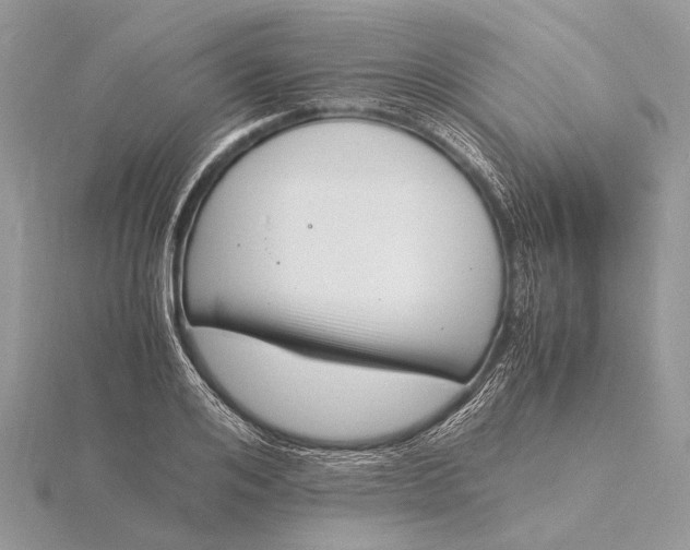 X0000116140984200912071239