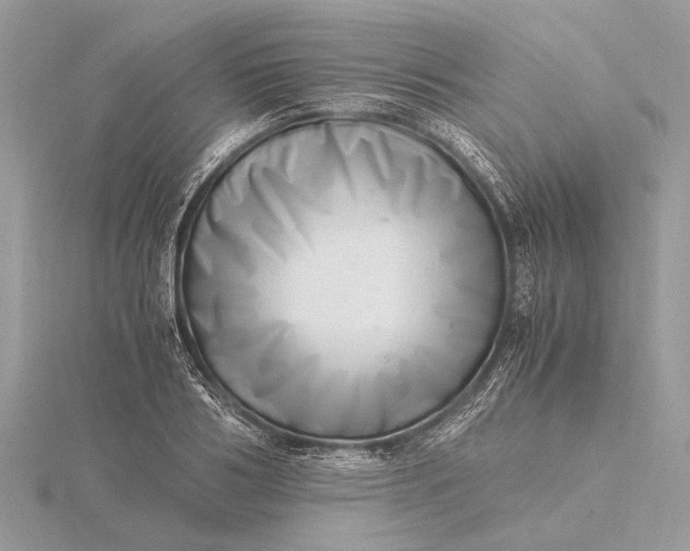 X0000116140986200912071239