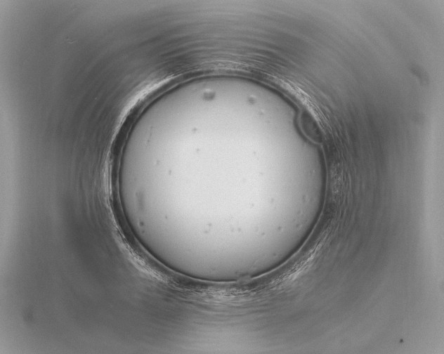 X0000116140987200912071239