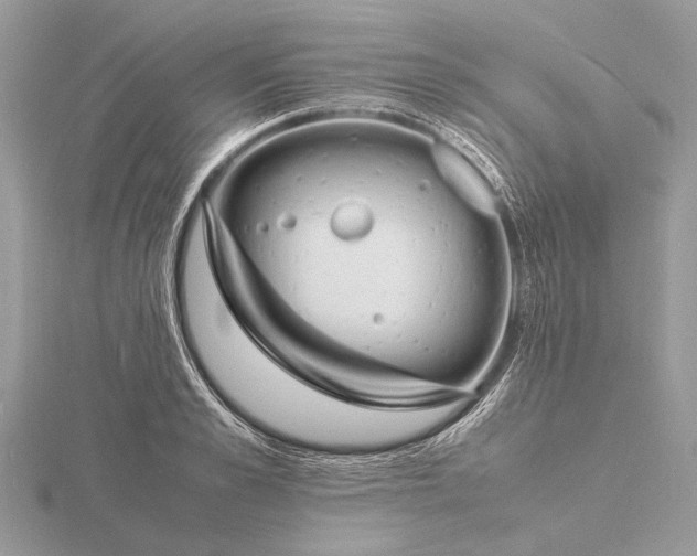 X0000116140989200912071239