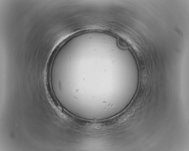 X0000116140991200912071239