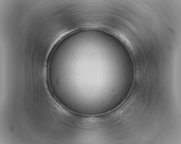 X0000116140992200912071239