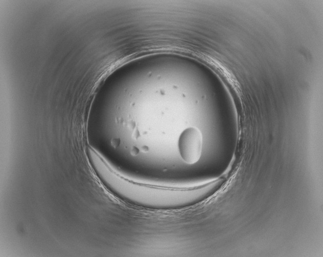 X0000116140993200912071239