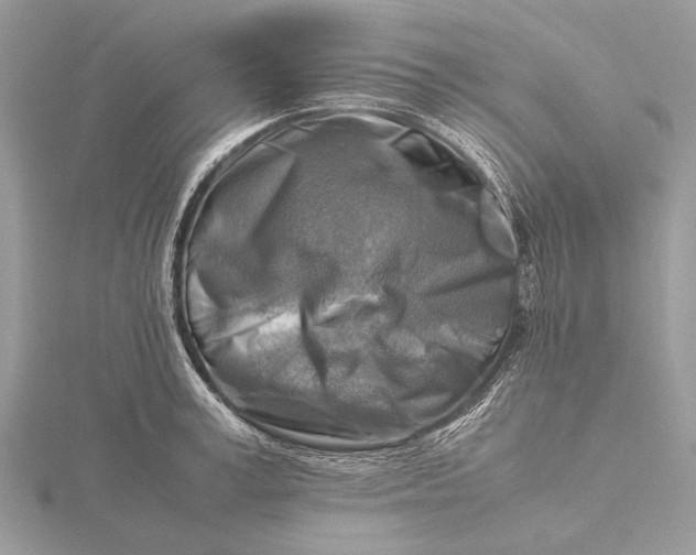 X0000116140995200912071239