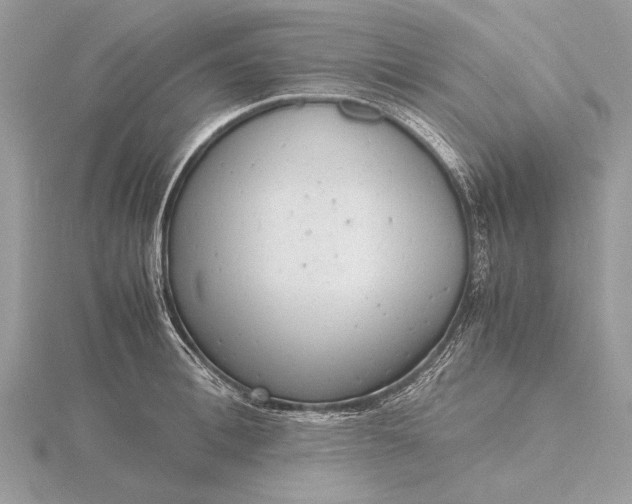 X0000116140996200912071239