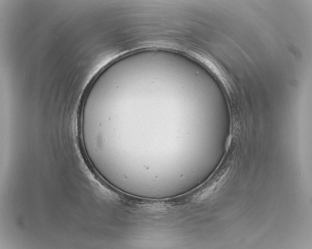 X0000116140999200912071239