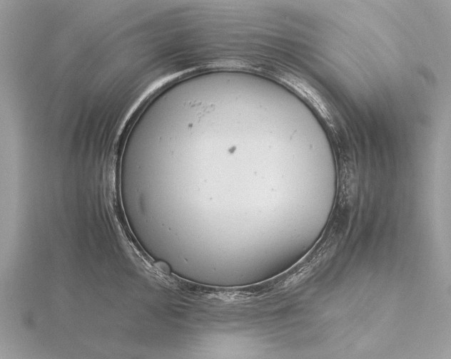 X0000116141000200912071239