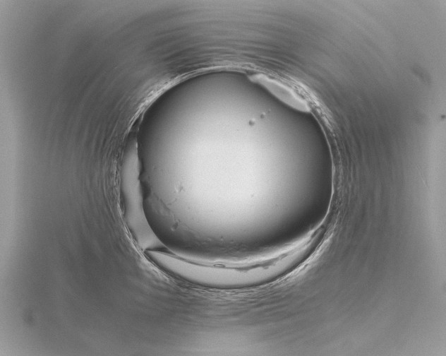 X0000116141001200912071239