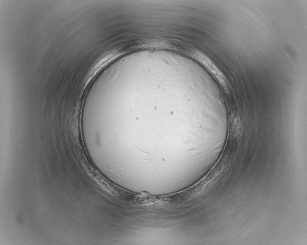 X0000116141002200912071239