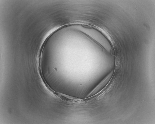 X0000116141003200912071239