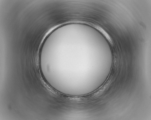 X0000116141004200912071239