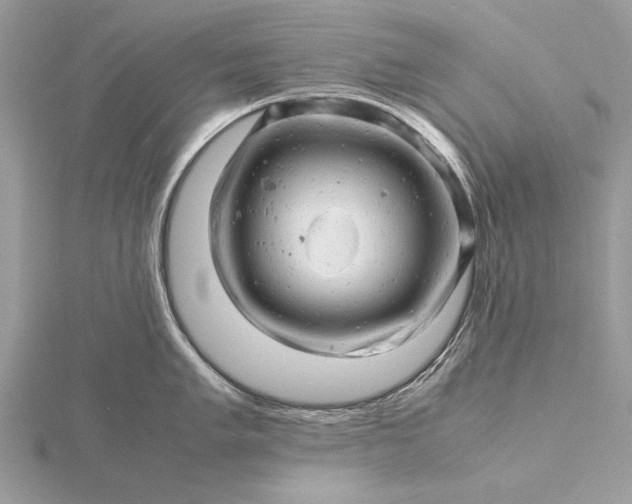 X0000116141005200912071239