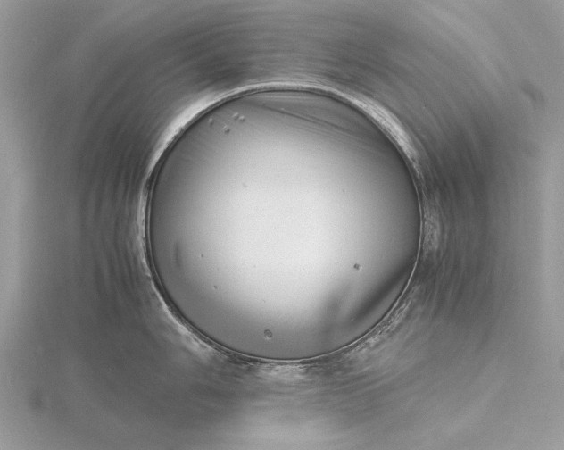 X0000116141006200912071239