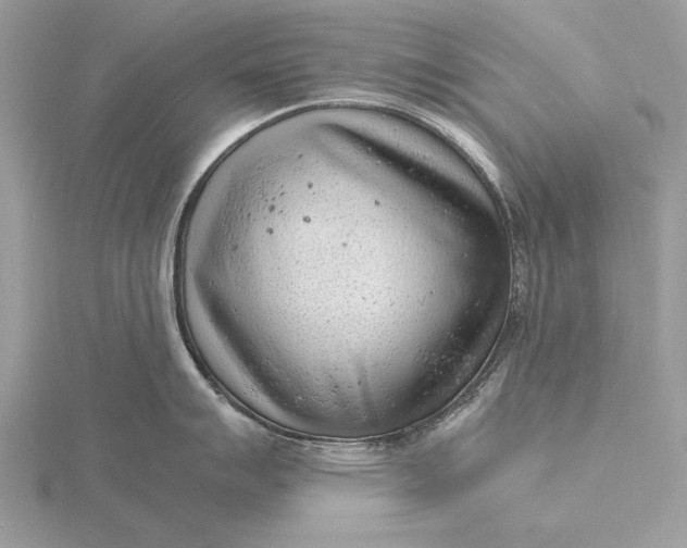 X0000116141007200912071239