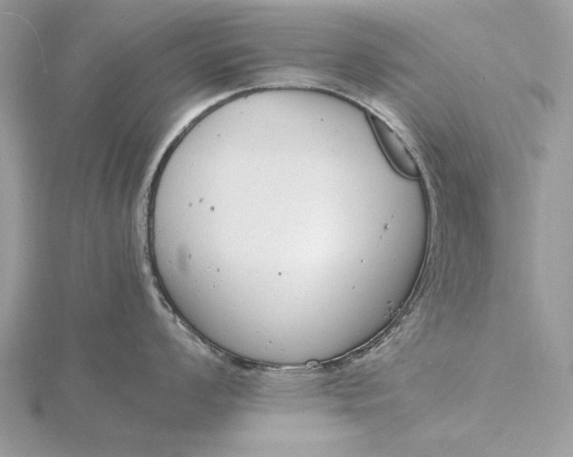 X0000116141008200912071239