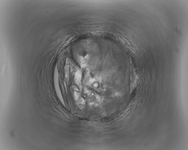 X0000116141009200912071238