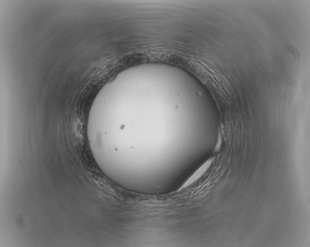 X0000116141010200912071238