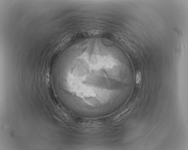 X0000116141011200912071238