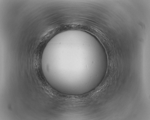 X0000116141014200912071238