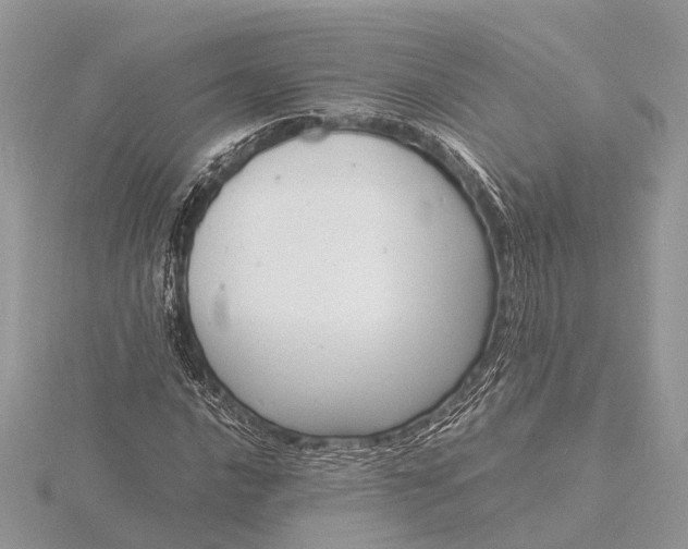 X0000116141016200912071239