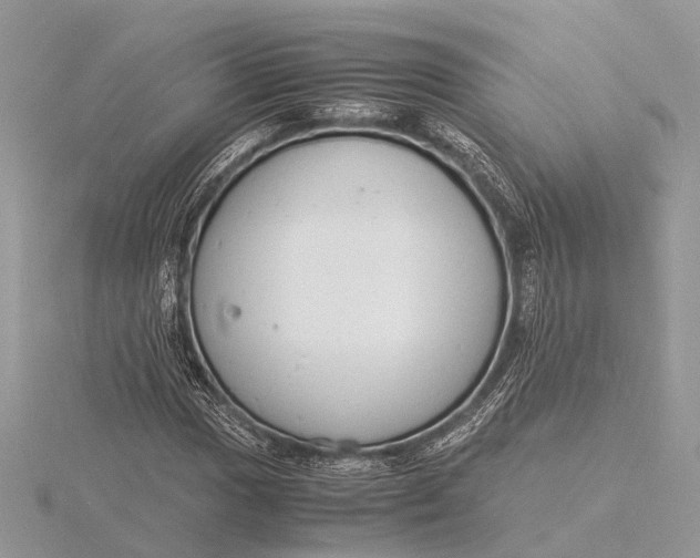 X0000116141017200912071239