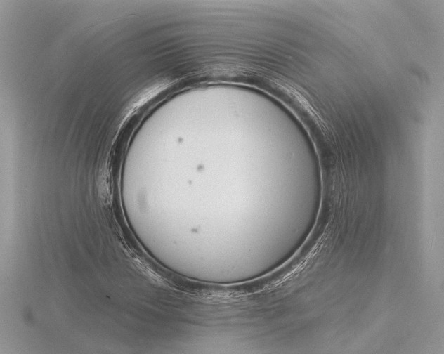 X0000116141018200912071239