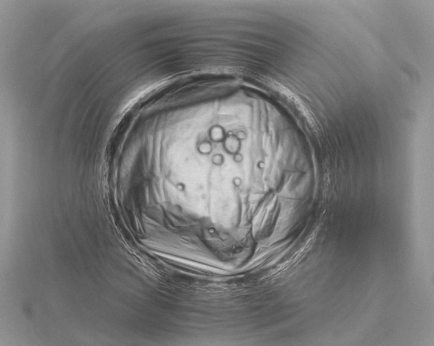 X0000116141019200912071239