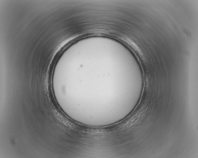 X0000116141020200912071239