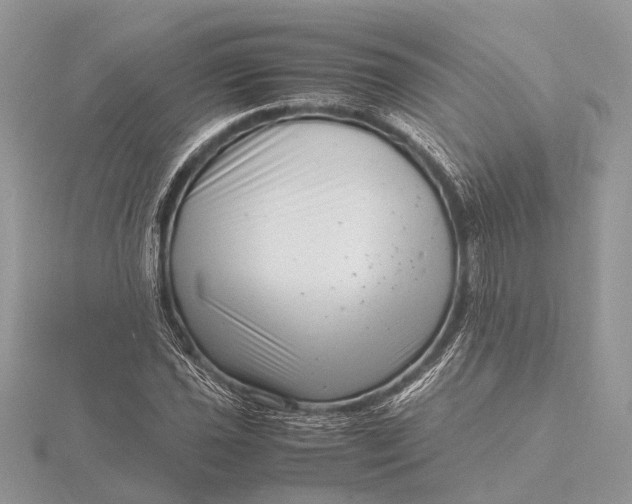 X0000116141021200912071239